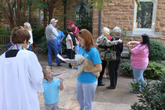 Animal Blessing October 3, 2010