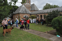 photogallery_8737_l