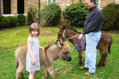 Palm Sunday 2010