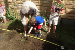 Vegetable Garden